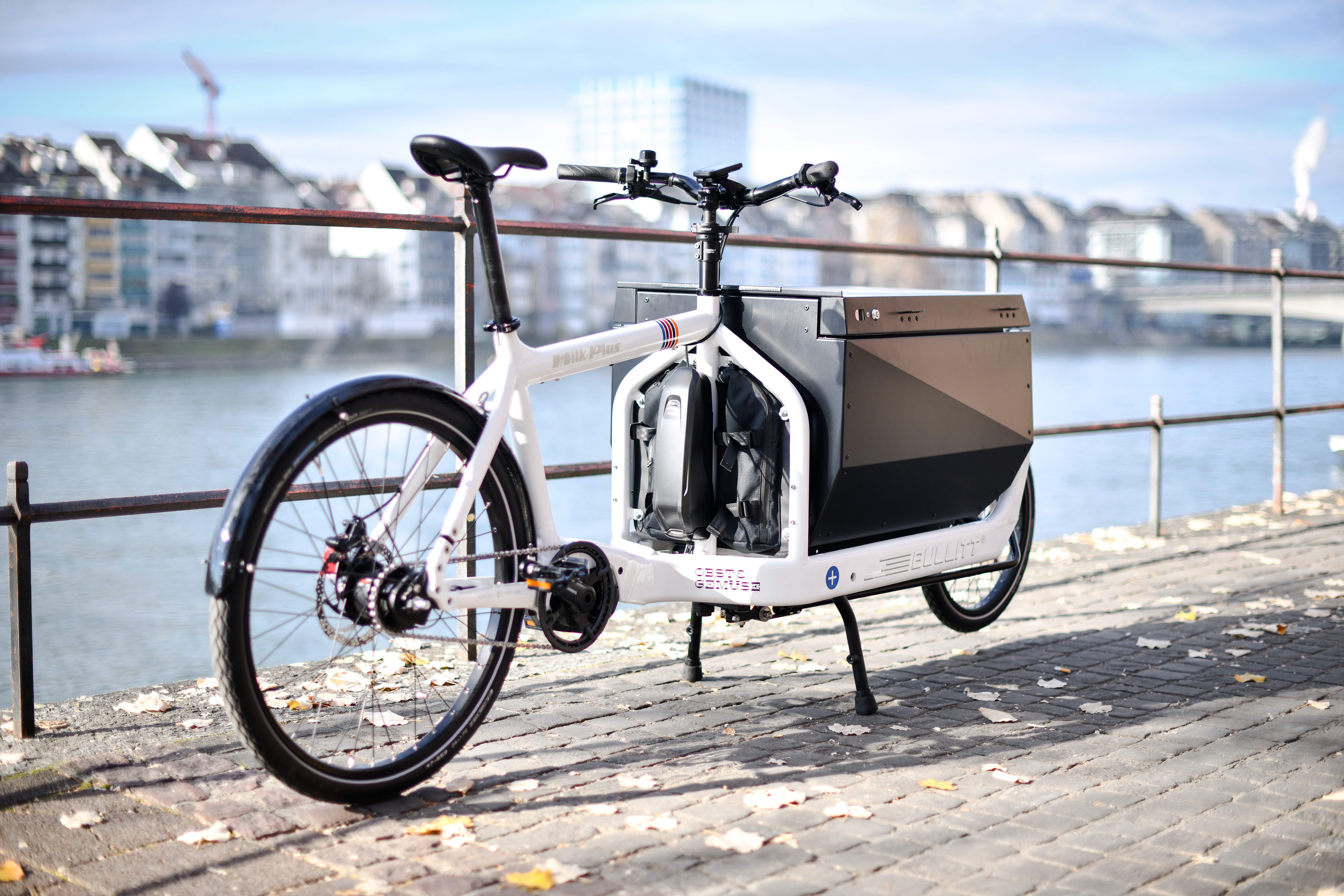 FAHRER Panel Bags, Bullitt Rückwandtaschen