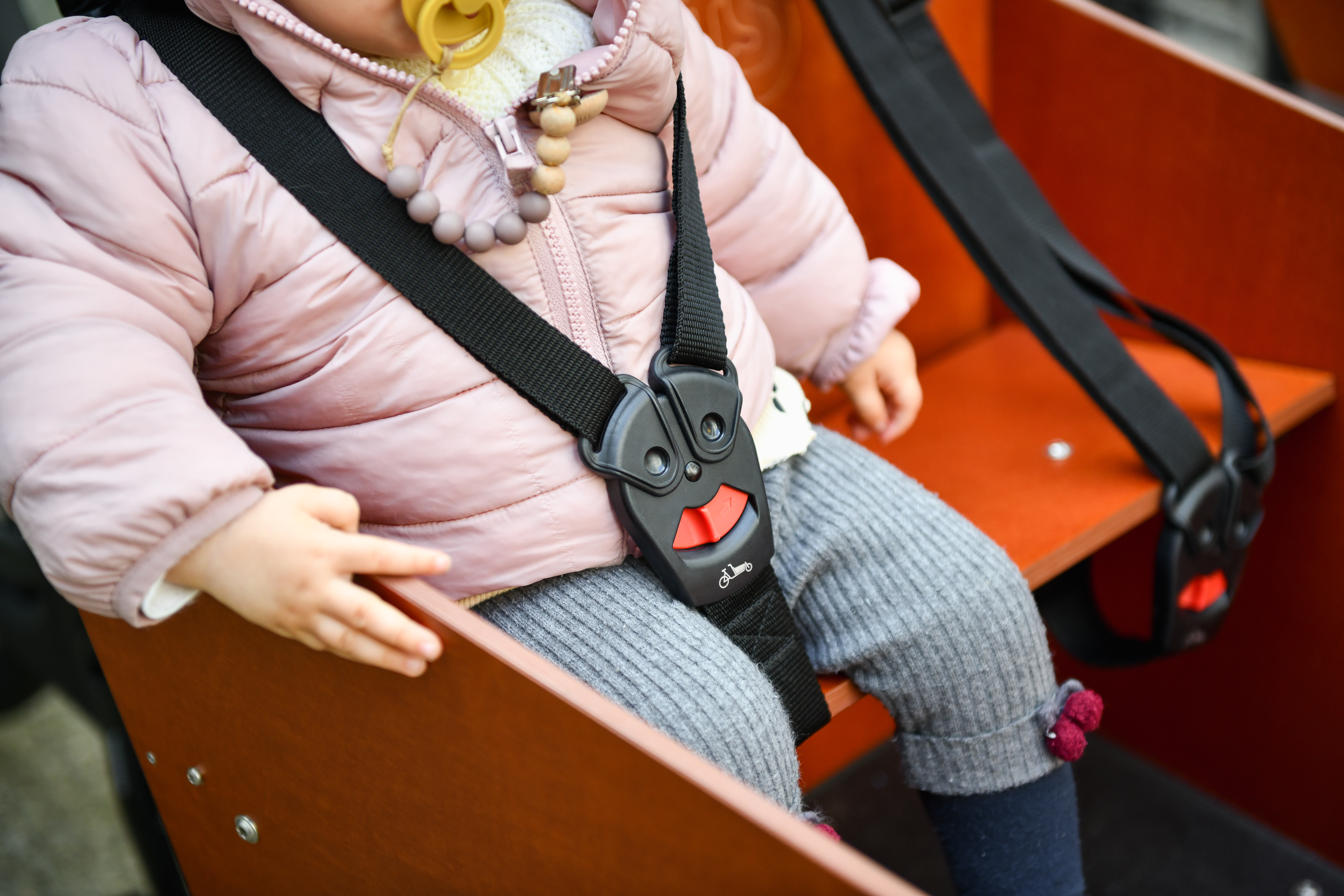 BAKFIETS.NL Y-Kindergurt mit Magnetschnalle 