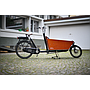 BAKFIETS.NL LCD Display Oval Schwarz/Grau
